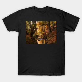 Wicklow in Autumn T-Shirt